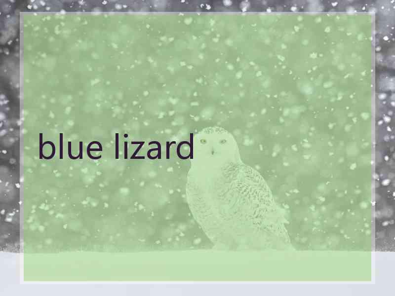 blue lizard