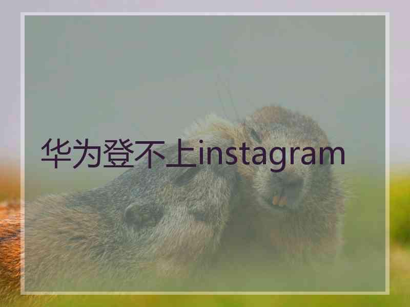 华为登不上instagram