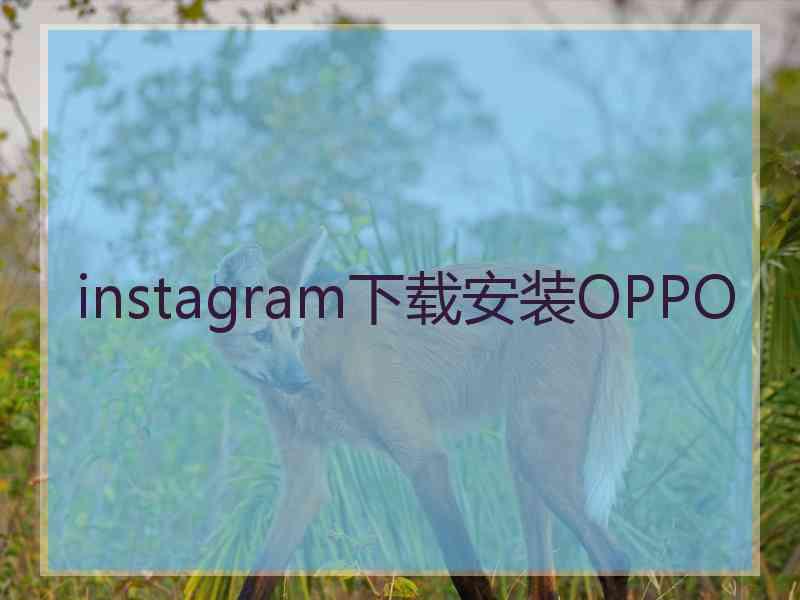 instagram下载安装OPPO