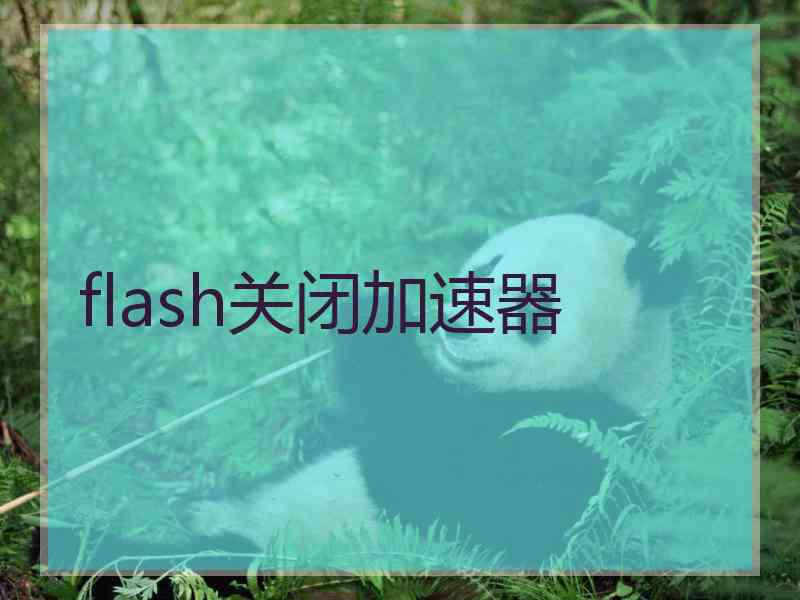 flash关闭加速器