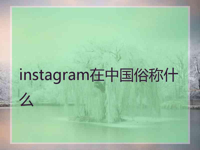 instagram在中国俗称什么