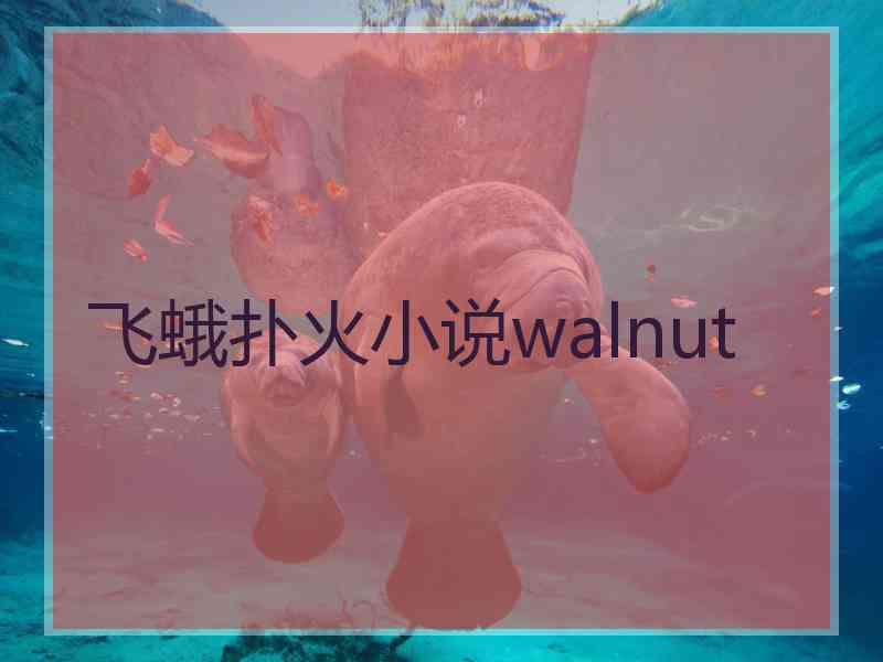 飞蛾扑火小说walnut