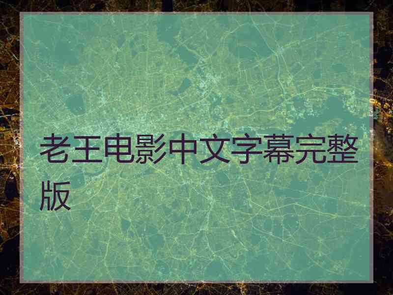 老王电影中文字幕完整版
