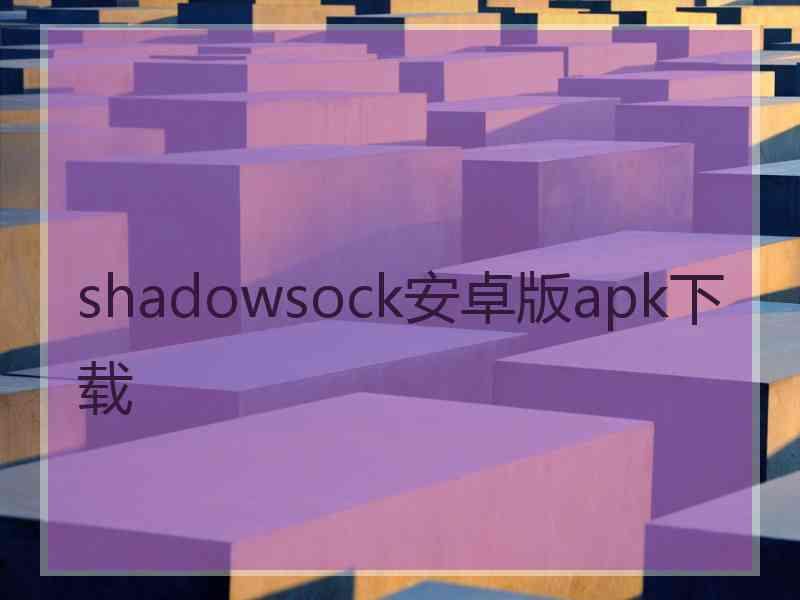 shadowsock安卓版apk下载